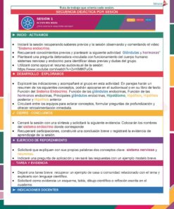 Planeaciones Física 2° Grado Secundaria PAQUETE (Ciclo Escolar 2026 – 2027) + Fichas de Trabajo 25 01 BIOLOGIA 1 SISTEMAS NERVIOSO Y ENDOCRINO Pagina 02