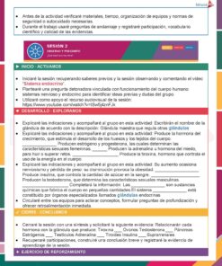 Planeaciones Física 2° Grado Secundaria PAQUETE (Ciclo Escolar 2026 – 2027) + Fichas de Trabajo 16 01 BIOLOGIA 1 SISTEMAS NERVIOSO Y ENDOCRINO Pagina 03