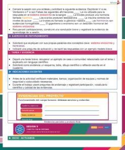 Planeaciones Física 2° Grado Secundaria PAQUETE (Ciclo Escolar 2026 – 2027) + Fichas de Trabajo 18 01 BIOLOGIA 1 SISTEMAS NERVIOSO Y ENDOCRINO Pagina 06