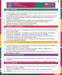 Planeaciones Física 2° Grado Secundaria PAQUETE (Ciclo Escolar 2026 – 2027) + Fichas de Trabajo 19 01 BIOLOGIA 1 SISTEMAS NERVIOSO Y ENDOCRINO Pagina 13