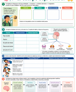 Fichas de trabajo CIENCIAS (Biología, Física, Química) SECUNDARIA 1°, 2° Y 3° Grado | TODOS LOS CONTENIDOS (IMPRIMIBLES) 12 01 El cuerpo bajo control