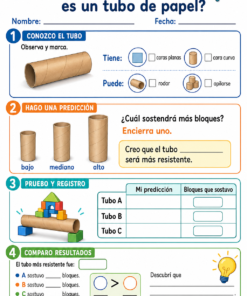 Fichas de trabajo PRIMARIA 1° Grado TODOS LOS PROYECTOS (IMPRIMIBLES) 23 03 Resistencia de un tubo de papel