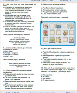 Captura de pantalla de un examen trimestral de cuarto grado de editorial md en español, que incluye secciones de opción múltiple y respuestas cortas enfocadas en gramática y comprensión basadas en una caricatura de compras de comestibles, como parte de las Planeaciones de Cuarto Grado de Primaria 2021-2022 ( Primer Trimestre)