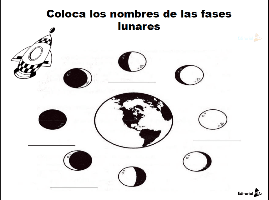 Fases de la Luna Para Niños | 2020