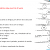 Cómo dar una terapia de lenguaje 02