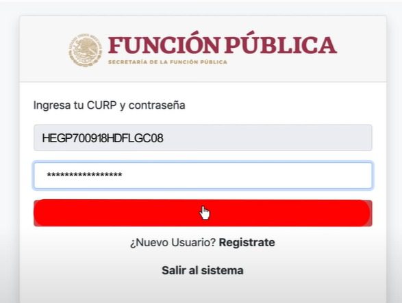 ingreso para realizar la declaración patrimonial 