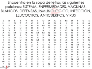 Sopa de letras del sistema inmunológico