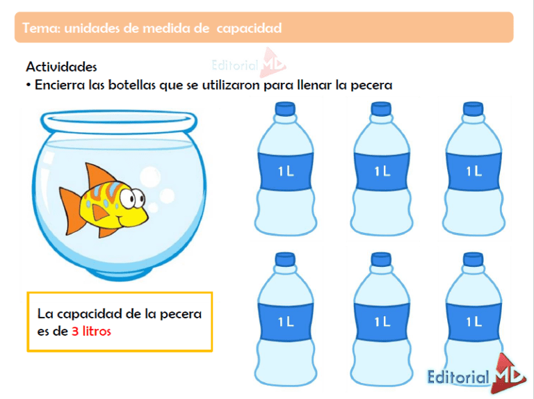 Unidades de Medida Para Niños de Primaria y Preescolar