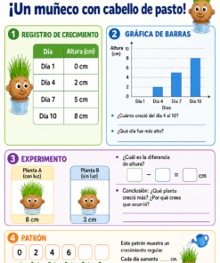 Fichas de trabajo PRIMARIA 2° Grado TODOS LOS PROYECTOS (IMPRIMIBLES) 20 06 Un muneco con cabello de pasto
