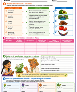 Fichas de trabajo PRIMARIA 5° Grado TODOS LOS PROYECTOS (IMPRIMIBLES) 27 06 palabras y lenguas vivas