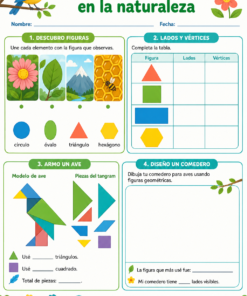Fichas de trabajo PRIMARIA 1° Grado TODOS LOS PROYECTOS (IMPRIMIBLES) 27 07 Figuras geometricas en la naturaleza