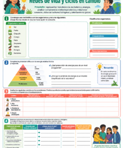 Fichas de trabajo CIENCIAS (Biología, Física, Química) SECUNDARIA 1°, 2° Y 3° Grado | TODOS LOS CONTENIDOS (IMPRIMIBLES) 18 07 Redes de vida y ciclos en cambio