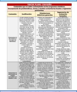 Cuadro de un programa educativo de matemáticas en el que se exponen contenidos sobre la homotecia: objetivos, justificación, enfoques didácticos y sugerencias de evaluación para comprender el concepto y sus propiedades.