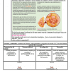 Planeación-Actividades Ciencias Física Secundaria trimestre 06