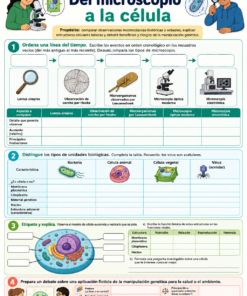 Fichas de trabajo CIENCIAS (Biología, Física, Química) SECUNDARIA 1°, 2° Y 3° Grado | TODOS LOS CONTENIDOS (IMPRIMIBLES) 19 08 Del microscopio a la celula