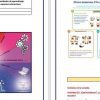 Una infografía educativa que muestra diferentes entornos de estudio, con bloques de colores vibrantes e ilustraciones, que incluyen entornos de aula y diagramas que explican conceptos según el enfoque de Productos contestados del taller Nueva Escuela Mexicana. El texto está en español.