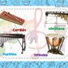 Ejemplo de instrumentos