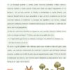 Una colorida ficha de español para estudiantes, titulada "Los animales del bosque", describe los animales del bosque y sus funciones. Los animales ilustrados (un ciervo, un zorro, un búho, una ardilla y un conejo) aparecen en la parte inferior, entre la hierba y los árboles.