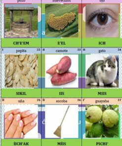 Colección de juegos didácticos en lengua maya que incluye un pozo, maíz, un ojo, semillas, batatas, un gato, una calabaza, una escoba, manos y guayabas; cada uno etiquetado en lengua maya con términos descriptivos.