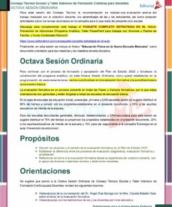 1. Orientaciones Octava Sesion Ordinaria de CTE Resueltas MD page 0003 copia