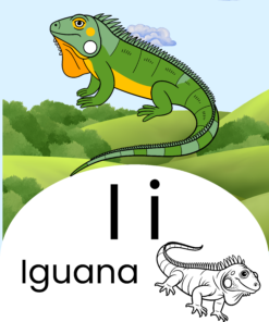 Aprende de forma divertida a escribir el abecedario 7 10 33