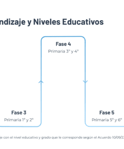 10 Fases de Aprendizaje y Niveles Educativos