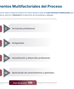Diagrama que muestra cuatro elementos multifactoriales para un proceso, cada uno con puntos: Formación profesional (15), Antigüedad (15), Actualización y desarrollo profesional (30), y Apreciación de conocimientos y aptitudes (40), totalizando 100 puntos.