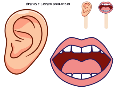 Ilustración que muestra una oreja y una boca grandes, con dos iconos más pequeños: una oreja en un palo y una boca en un palo. Texto en español en la parte superior: "Láminas y ejemplo boca-oreja.