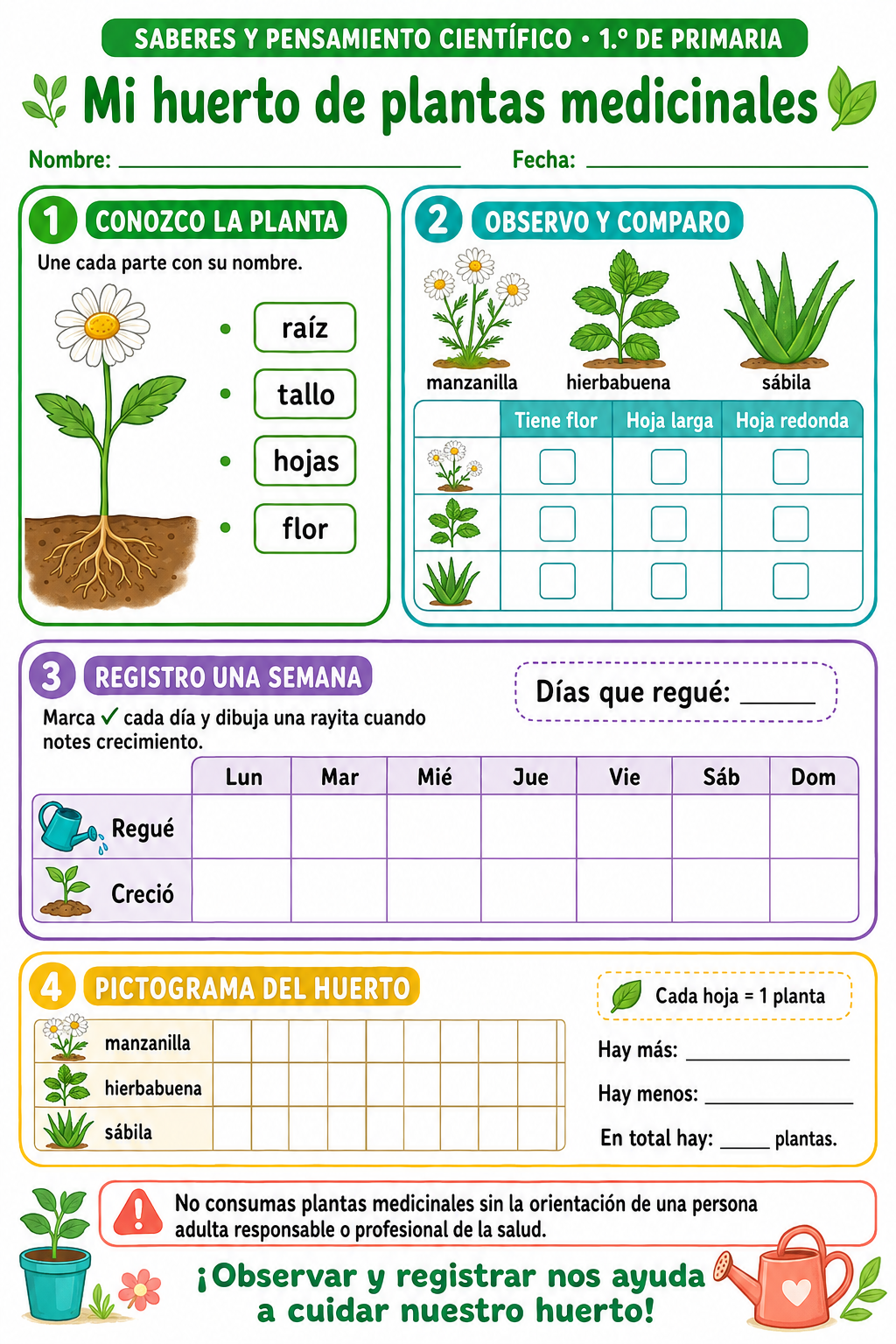 Fichas de trabajo PRIMARIA 1° Grado TODOS LOS PROYECTOS (IMPRIMIBLES) 3 Fichas de trabajo PRIMARIA 1° Grado TODOS LOS PROYECTOS (IMPRIMIBLES) - Image 3