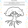 El Cuadernillo Actividades Educación Socioemocional presenta una ilustración de un árbol en blanco y negro con raíces, tronco y ramas para escribir cualidades, habilidades y objetivos en español. Estrellas decorativas y garabatos rodean la página de actividades.