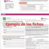 Recopilación de capturas de pantalla de un sitio web educativo que presenta un curso de español, que muestra varias secciones como materiales del curso, composiciones, Fichas o cuadernos de apoyo al programa aprende en casa 2 y videos instructivos. Texto en español.
