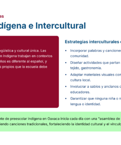 12 NEM en contextos indigenas