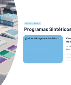 12 Programas Sinteticos de la NEM