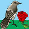 13ruisenoryrosa1