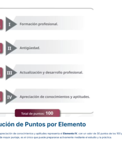 Gráfico mostrando la distribución de 100 puntos: I. Formación profesional (15 puntos), II. Antigüedad (35 puntos), III. Actualización y desarrollo profesional (20 puntos), IV. Conocimientos y aptitudes (30 puntos).