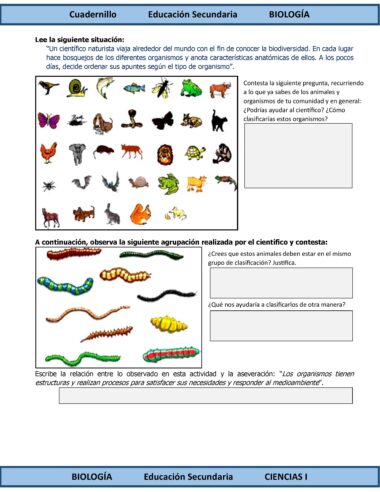 Programa Analítico Anual CIENCIAS I BIOLOGÍA, Secundaria 1º (Ciclo Escolar 2025 – 2026) - Image 15