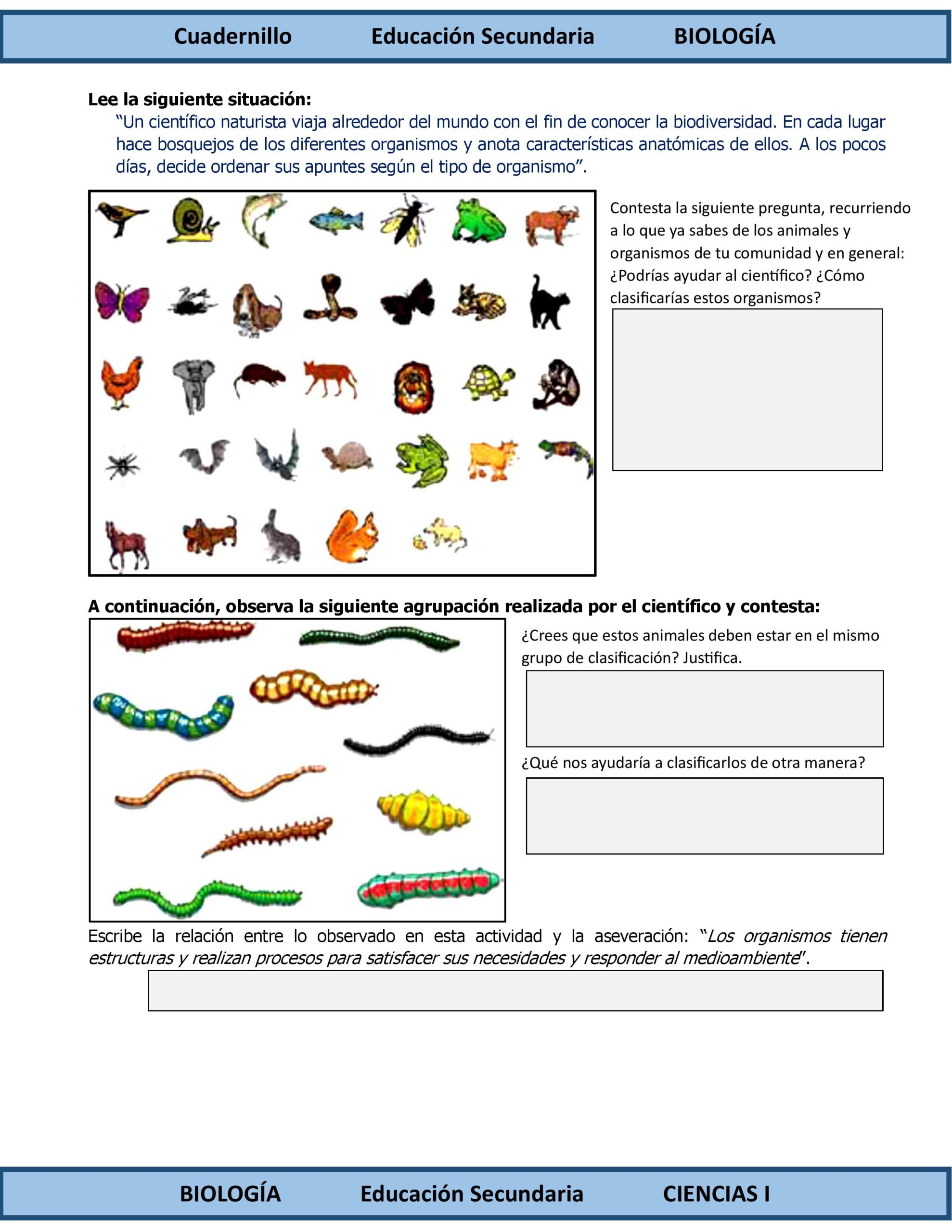 Programa Analítico Anual CIENCIAS I BIOLOGÍA, Secundaria 1º (Ciclo Escolar 2026 – 2027) 15 Programa Analítico Anual CIENCIAS I BIOLOGÍA, Secundaria 1º (Ciclo Escolar 2026 – 2027) - Image 15