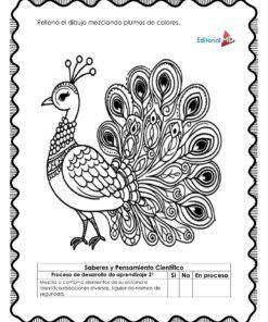 Contorno en blanco y negro de un pavo real con elaboradas plumas en la cola en el Cuadernillo de Trabajo Mezclando Colores, con instrucciones para colorear en español y una sección de clasificación con borde decorativo.