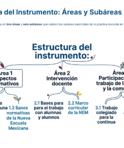 15 Estructura del Instrumento Areas y Subareas 2