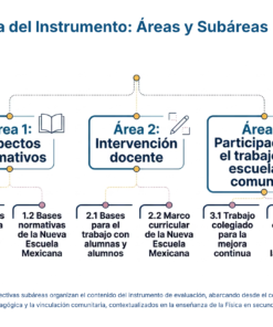 17 Estructura del Instrumento Areas y Subareas