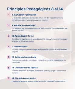 17 Principios Pedagogicos 8 al 14