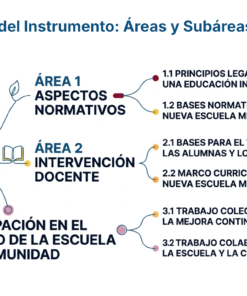 18 Estructura del Instrumento Areas y Subareas 1
