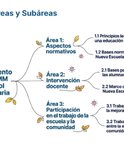 18 Mapa de Areas y Subareas