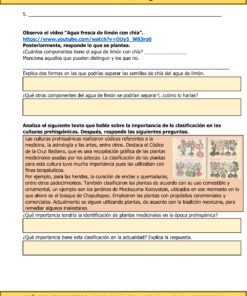 Hoja de trabajo para TERCER TRIMESTRE Programa Analítico CIENCIAS III QUÍMICA Secundaria 3º (Ciclo Escolar 2023 – 2024) durante el Ciclo Escolar 2023 – 2024, con preguntas sobre un video educativo sobre cómo separar las semillas de chía del agua de limón. Incluye secciones para resumir puntos clave, métodos de separación y la importancia de la clasificación en las culturas prehispánicas.