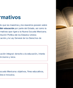 19 Aspectos Normativos 1