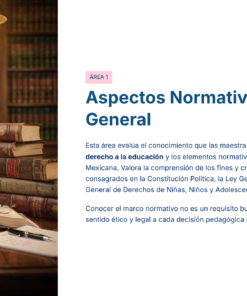19 Aspectos Normativos Vision General