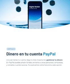 19 Dinero en tu cuenta PayPal