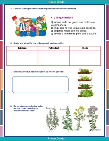 Una hoja de actividades en español para primer grado con ilustraciones de niños en una situación escolar, espacios para escribir emociones y palabras, y dibujos de plantas como romero, toronjil y orégano.