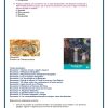1° Grado Examen 1er Trimestre page 0013