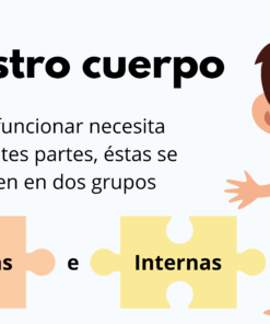 Mi increíble cuerpo humano 7 2 140
